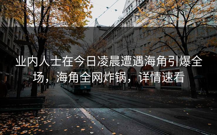 业内人士在今日凌晨遭遇海角引爆全场，海角全网炸锅，详情速看