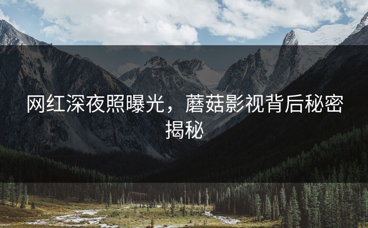 网红深夜照曝光，蘑菇影视背后秘密揭秘