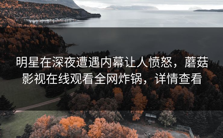 明星在深夜遭遇内幕让人愤怒，蘑菇影视在线观看全网炸锅，详情查看