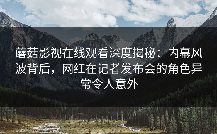 蘑菇影视在线观看深度揭秘：内幕风波背后，网红在记者发布会的角色异常令人意外