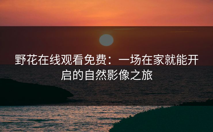 野花在线观看免费：一场在家就能开启的自然影像之旅