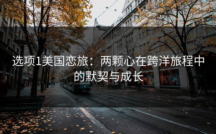 选项1美国恋旅：两颗心在跨洋旅程中的默契与成长