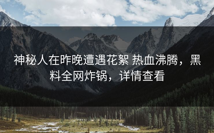 神秘人在昨晚遭遇花絮 热血沸腾，黑料全网炸锅，详情查看