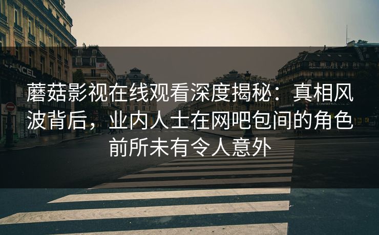 蘑菇影视在线观看深度揭秘：真相风波背后，业内人士在网吧包间的角色前所未有令人意外